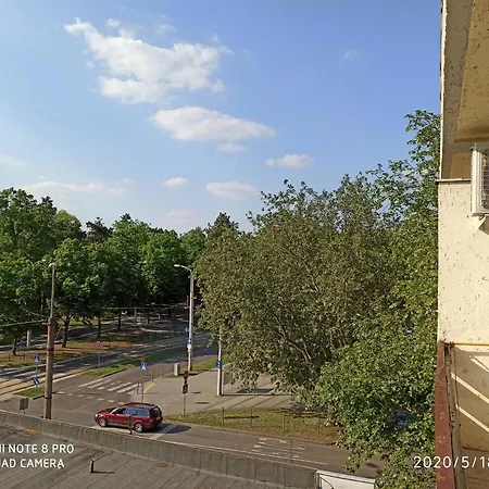 Nagyerdo - Simonyi Ut *