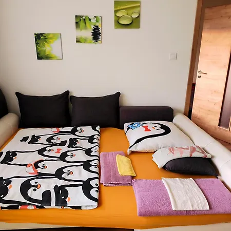 Nagyerdo - Simonyi Ut * Debrecen